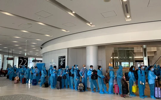 Đưa 350 công dân Việt Nam mắc kẹt tại Nhật Bản về nước an toàn