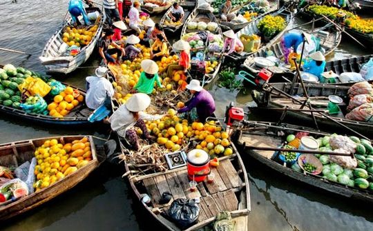 Cần Thơ: Ngày hội Du lịch Văn hóa Chợ nổi Cái Răng 2020