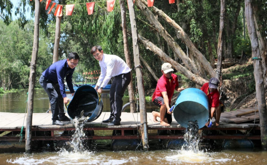 Nuôi cá trong rừng