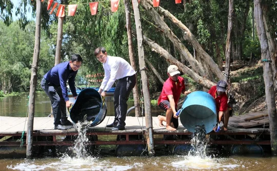 Nuôi cá trong rừng