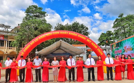 Ngành Công Thương Sơn La: Điểm sáng của nền kinh tế