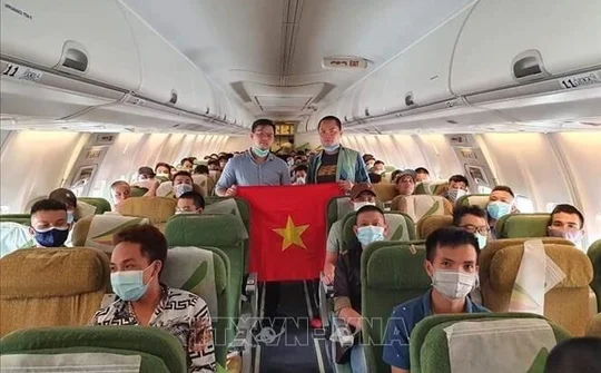 Người Việt Nam từ một số nước châu Phi muốn về nước cần phải làm gì?