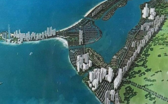 Triển khai dự án Cần Giờ 'phải giữ được rừng ngập mặn'