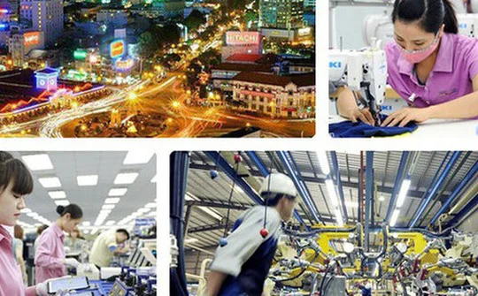 Tác động của EVFTA đến xuất nhập khẩu, định hướng cho doanh nghiệp Việt Nam