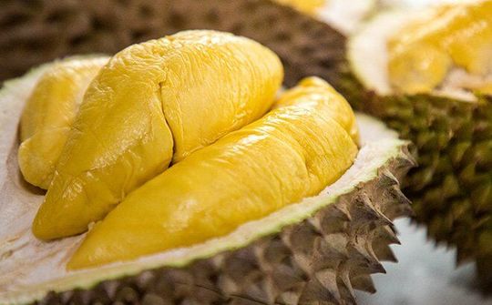 Xây dựng thương hiệu sầu riêng Việt Nam