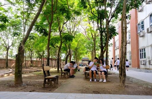 Cần Thơ: Bảo tồn cây xanh trong trường nhưng vẫn đảm bảo an toàn