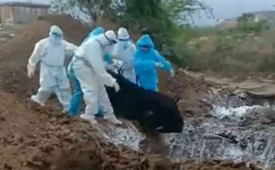Thi thể bệnh nhân Covid-19 bị vứt xuống hố chôn gây phẫn nộ