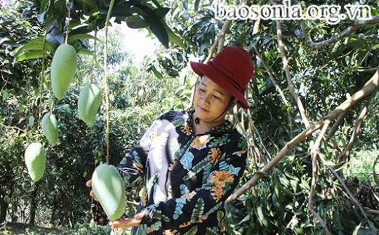 Hiệu quả cuộc vận động “Xây dựng gia đình 5 không, 3 sạch”