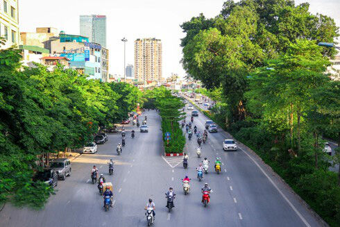 Hà Nội: Trồng cây xanh nhiều tầng, báo động tình trạng ăn trộm cây cảnh