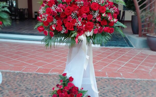 Ngành Y tế tỉnh Hưng Yên: Chúc mừng kỷ niệm 95 năm ngày Báo chí Cách mạng Việt Nam