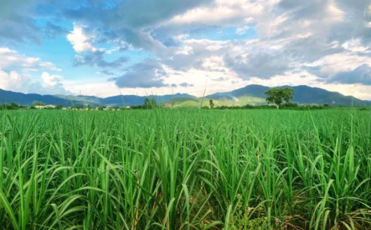 Xã Cư Prông (Eakar- Đắk Lắk): Điểm sáng trên cao nguyên