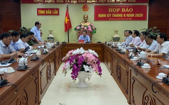 Đắk Lắk: Kết quả tích cực từ sản xuất nông, lâm nghiệp 6 tháng đầu năm