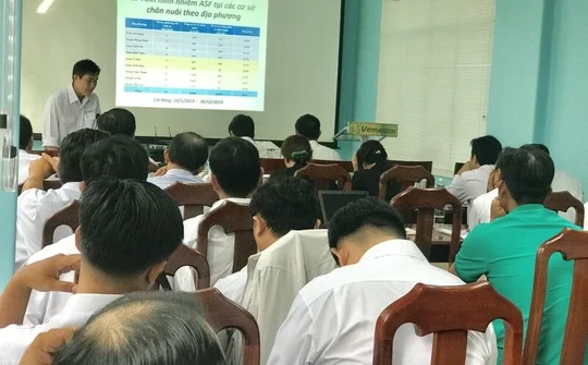 Dịch tả heo Châu Phi vẫn còn tiềm ẩn nhiều rủi ro