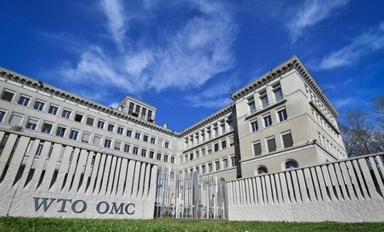 Cuộc đua trở thành tân Tổng Giám đốc WTO bước vào 'vòng chung kết'