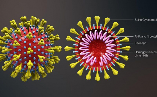 Hướng dẫn phòng chống Virus Corona - Covid 19