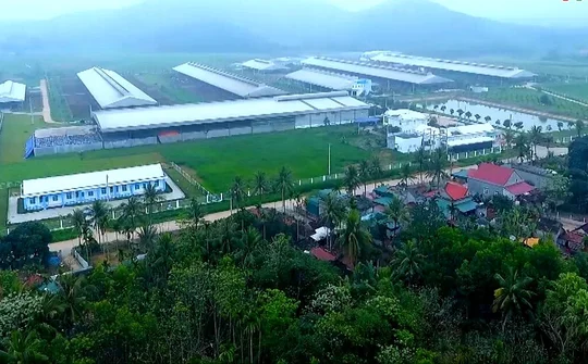 Như Thanh: Điểm sáng của huyện miền núi tỉnh Thanh Hóa