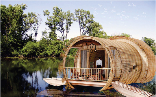 Khám phá và tận hưởng những điều kỳ thú, độc lạ tại KDL Trà Sư