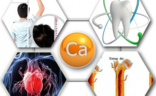 Canxi có vai trò quan trọng đối với sức khỏe con người