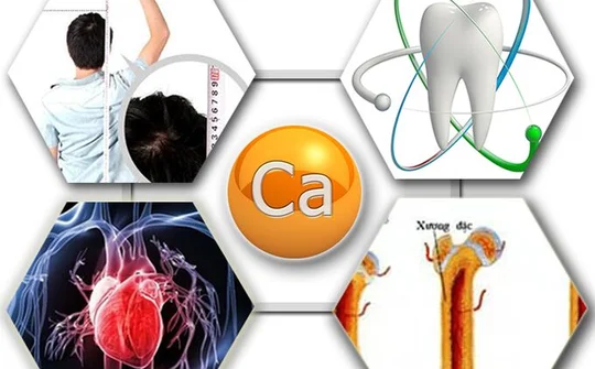 Canxi có vai trò quan trọng đối với sức khỏe con người