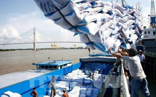 EVFTA mở ra cơ hội mới cho Doanh nghiệp xuất khẩu gạo sẵn sàng đón cơ hội xuất khẩu lớn