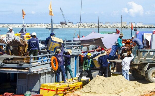 Lý Sơn sẽ không thành ốc đảo cạn lương thực