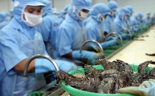 Tôm của Việt Nam xuất khẩu tăng mạnh vào EU