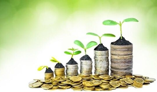 Lập Ban chỉ đạo quốc gia về tài chính toàn diện