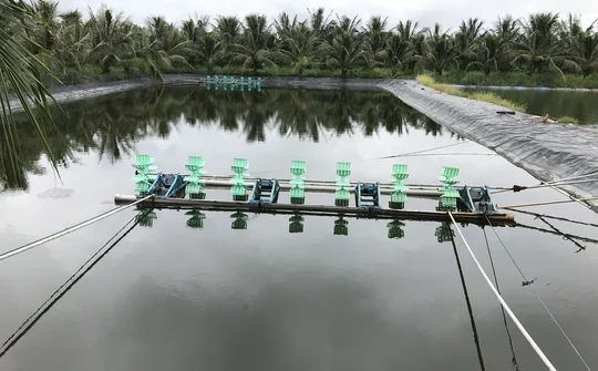 Đẩy mạnh phát triển nuôi trồng thủy sản ở Nga Tân