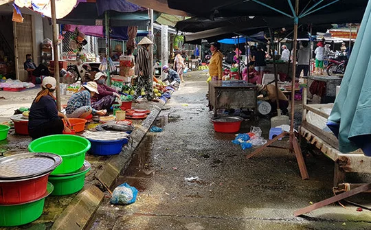 Đà Nẵng: Bỏ phiếu đi chợ từ ngày 18/9/2020