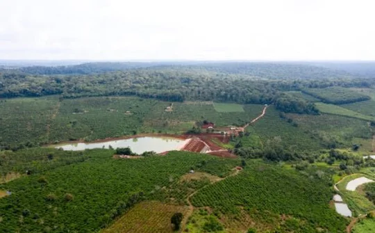 HMONG COFFEE Farm - Khám phá vùng nguyên liệu mới
