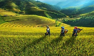 Triển khai Chương trình phát triển KTXH vùng dân tộc thiểu số, miền núi
