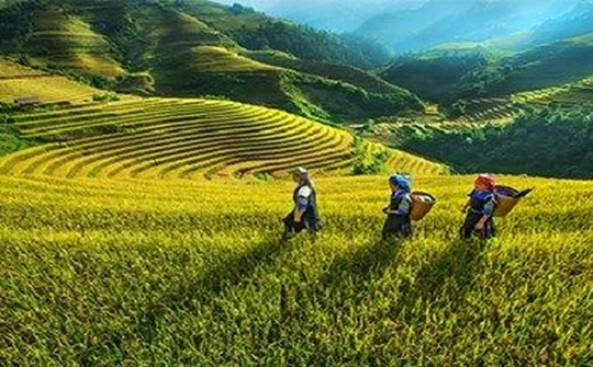 Triển khai Chương trình phát triển KTXH vùng dân tộc thiểu số, miền núi