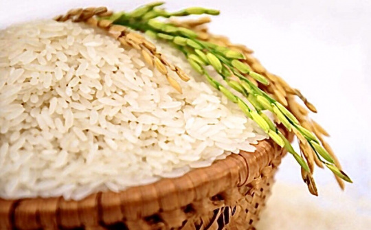 Nâng cao chất lượng để gạo Việt Nam chiếm lĩnh các thị trường