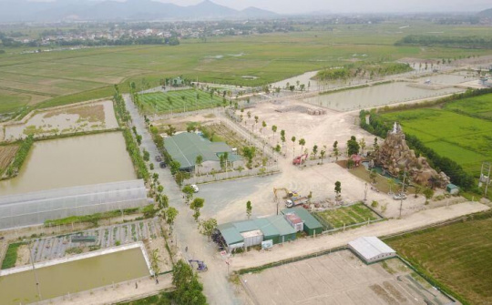 Synot Asean và Tổng giám đốc Nguyễn Như Ý: Cần một sự đồng hành vượt khó