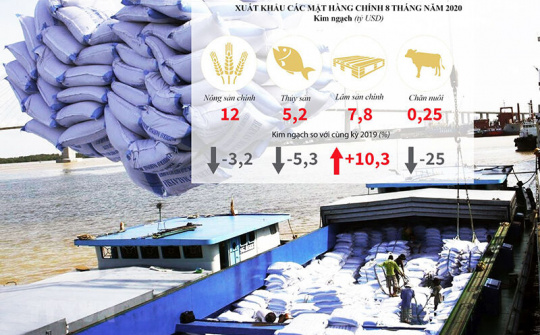 Nông sản Việt tiến vào "đường cao tốc" EVFTA