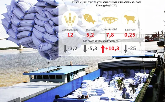 Nông sản Việt tiến vào "đường cao tốc" EVFTA