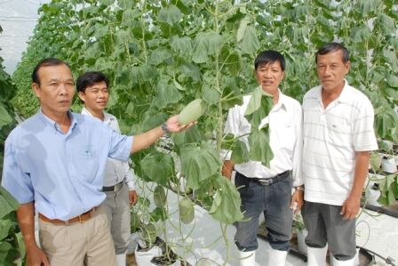 An Giang: Hướng đến nền nông nghiệp hiện đại, ứng dụng khoa học công nghệ cao