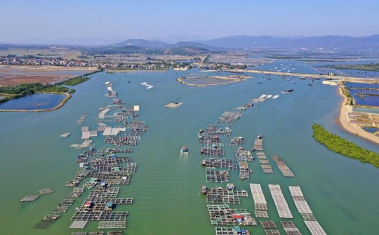 Thành lập Khu kinh tế ven biển Quảng Yên, tỉnh Quảng Ninh