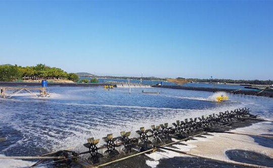 Bến Tre: Chú trọng nuôi trồng thủy hải sản góp phần phát triển kinh tế biển