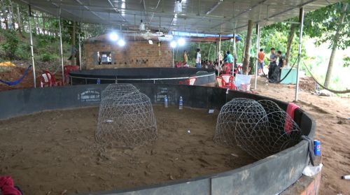 Tình hình tội phạm và những bài học kinh nghiệm trong công tác đấu tranh phòng, chống tội phạm giai đoạn (2015 – 2020) của Phòng Cảnh sát Hình sự-Công an tỉnh Kon Tum