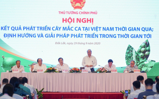Mắc ca Việt Nam có thể ‘đi sau, về trước’ để đứng đầu