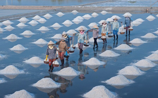 Phê duyệt Đề án phát triển ngành muối