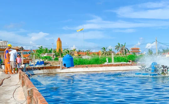 Điện lực Hải Hậu (Nam Định) đảm bảo nguồn điện an toàn, ổn định trong nuôi trồng thủy sản  