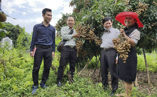 Nông sản Agrivi: “Đề cao sức khỏe người Việt,  nâng tầm giá trị Việt”