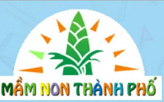 Thiết bị Mầm non Thành phố: Vì sự phát triển toàn diện của trẻ