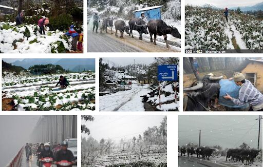 Không khí lạnh tăng cường và các chỉ đạo ứng phó