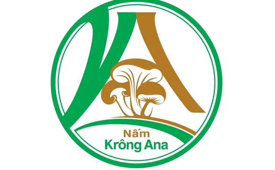 Nấm Krông Ana (Đắk Lắk): Khẳng định thương hiệu từ chất lượng sản phẩm