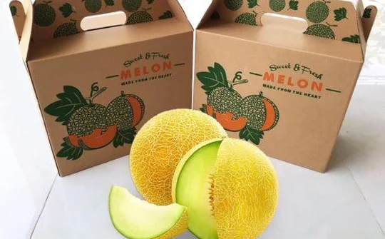 Huyện Nga Sơn: Chú trọng xây dựng thương hiệu sản phẩm OCOP địa phương