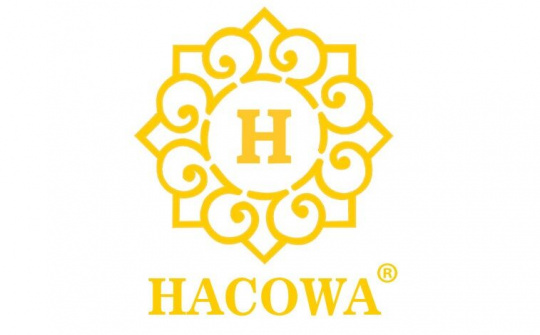 Độc đáo, đẹp mắt và chất lượng với trang trí nội thất HACOWA