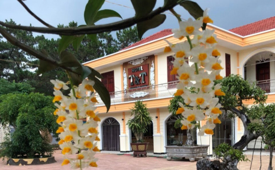 Khu liên hợp Khách sạn - Nhà hàng T&T: Điểm dừng chân lý tưởng